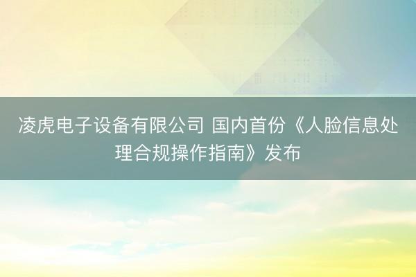 凌虎电子设备有限公司 国内首份《人脸信息处理合规操作指南》发布