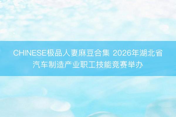 CHINESE极品人妻麻豆合集 2026年湖北省汽车制造产业职工技能竞赛举办
