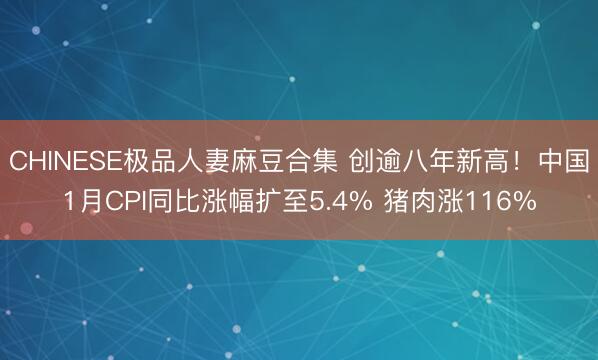 CHINESE极品人妻麻豆合集 创逾八年新高！中国1月CPI同比涨幅扩至5.4% 猪肉涨116%