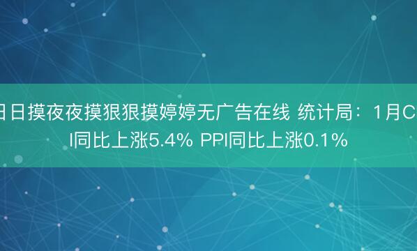 日日摸夜夜摸狠狠摸婷婷无广告在线 统计局：1月CPI同比上涨5.4% PPI同比上涨0.1%