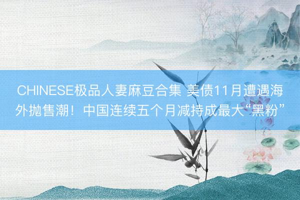 CHINESE极品人妻麻豆合集 美债11月遭遇海外抛售潮！中国连续五个月减持成最大“黑粉”