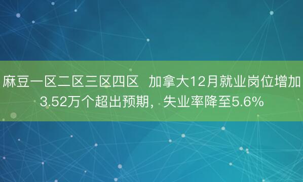 麻豆一区二区三区四区  加拿大12月就业岗位增加3.52万个超出预期，失业率降至5.6%