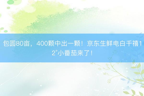 包圆80亩，400颗中出一颗！京东生鲜电白千禧12°小番茄来了！