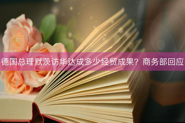 德国总理默茨访华达成多少经贸成果？商务部回应