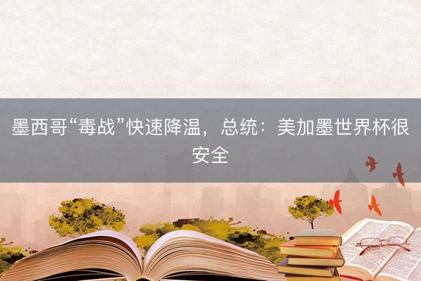 墨西哥“毒战”快速降温，总统：美加墨世界杯很安全