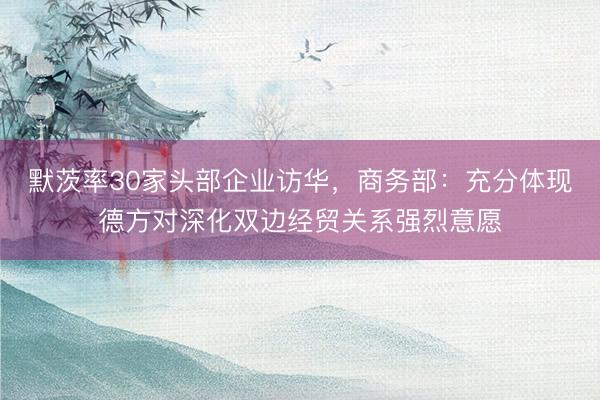 默茨率30家头部企业访华，商务部：充分体现德方对深化双边经贸关系强烈意愿