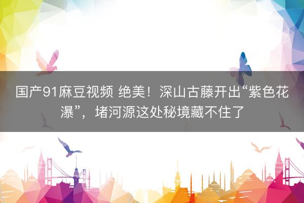 国产91麻豆视频 绝美！深山古藤开出“紫色花瀑”，堵河源这处秘境藏不住了
