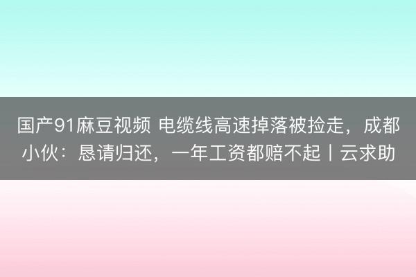 国产91麻豆视频 电缆线高速掉落被捡走，成都小伙：恳请归还，一年工资都赔不起丨云求助