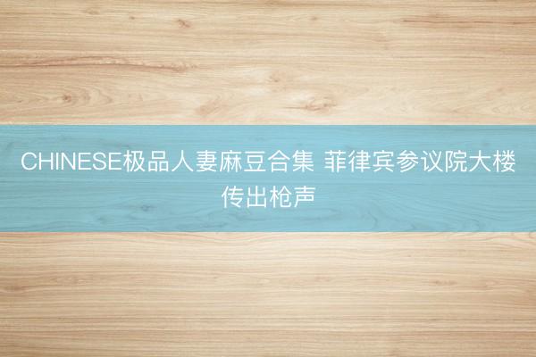CHINESE极品人妻麻豆合集 菲律宾参议院大楼传出枪声