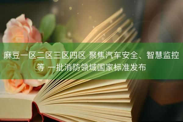 麻豆一区二区三区四区 聚焦汽车安全、智慧监控等 一批消防领域国家标准发布