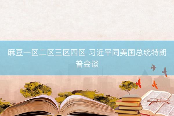 麻豆一区二区三区四区 习近平同美国总统特朗普会谈