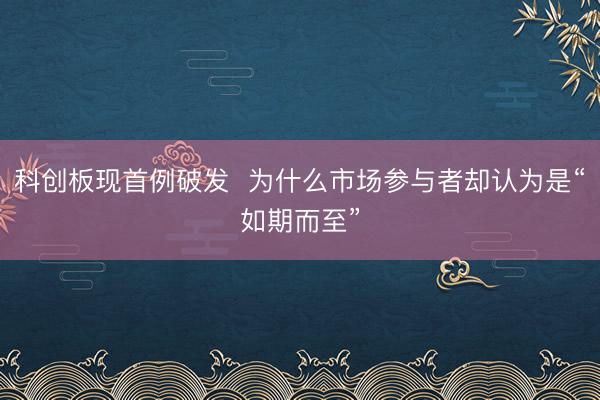 科创板现首例破发  为什么市场参与者却认为是“如期而至”