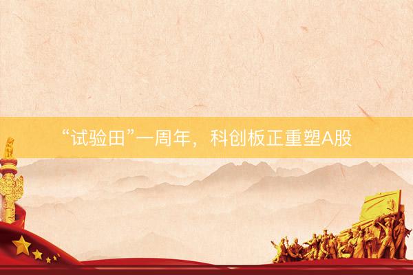 “试验田”一周年，科创板正重塑A股