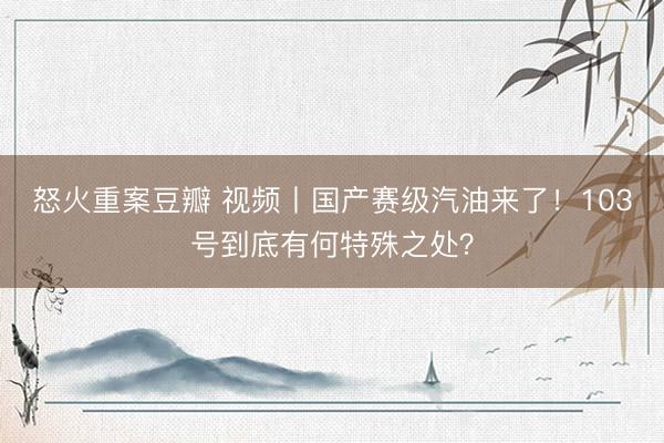 怒火重案豆瓣 视频丨国产赛级汽油来了！103号到底有何特殊之处？
