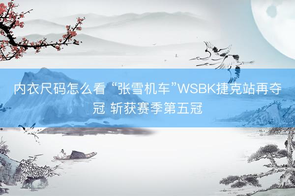 内衣尺码怎么看 “张雪机车”WSBK捷克站再夺冠 斩获赛季第五冠