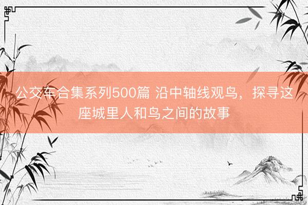 公交车合集系列500篇 沿中轴线观鸟，探寻这座城里人和鸟之间的故事