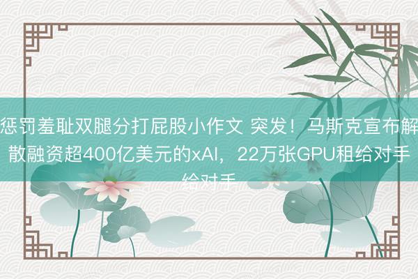 惩罚羞耻双腿分打屁股小作文 突发！马斯克宣布解散融资超400亿美元的xAI，22万张GPU租给对手