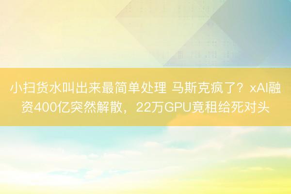 小扫货水叫出来最简单处理 马斯克疯了？xAI融资400亿突然解散，22万GPU竟租给死对头