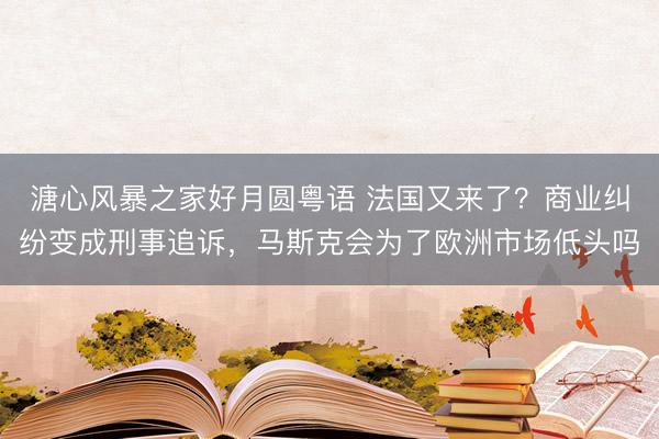 溏心风暴之家好月圆粤语 法国又来了？商业纠纷变成刑事追诉，马斯克会为了欧洲市场低头吗