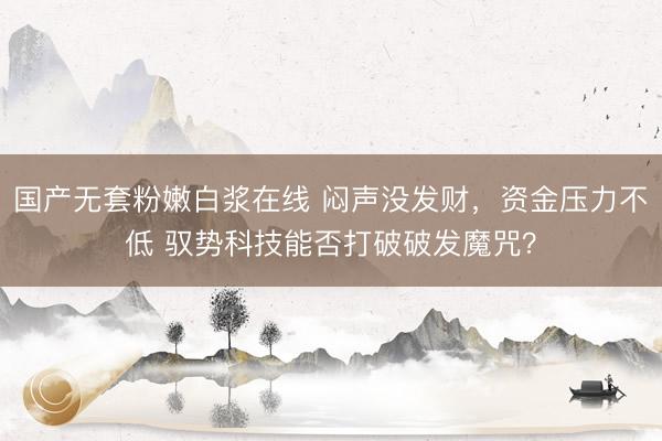 国产无套粉嫩白浆在线 闷声没发财，资金压力不低 驭势科技能否打破破发魔咒？