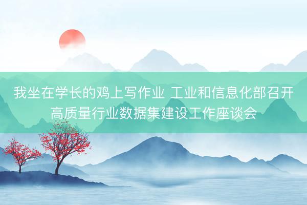 我坐在学长的鸡上写作业 工业和信息化部召开高质量行业数据集建设工作座谈会