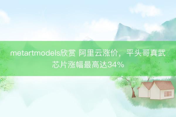 metartmodels欣赏 阿里云涨价，平头哥真武芯片涨幅最高达34％