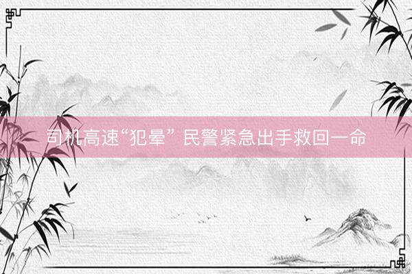 司机高速“犯晕” 民警紧急出手救回一命