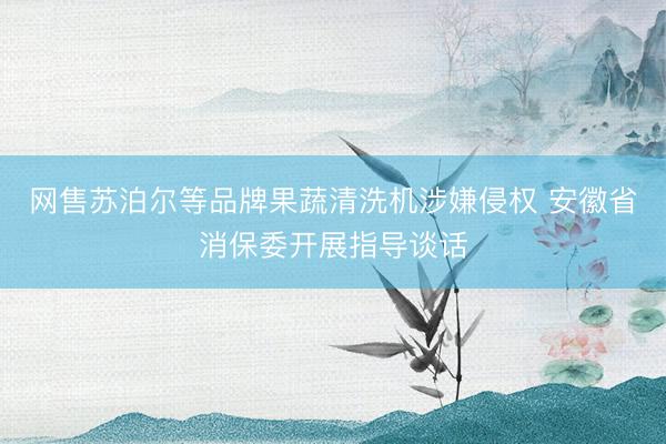 网售苏泊尔等品牌果蔬清洗机涉嫌侵权 安徽省消保委开展指导谈话
