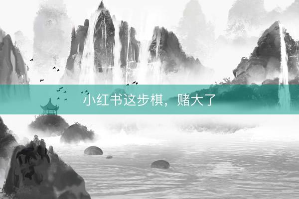 小红书这步棋，赌大了