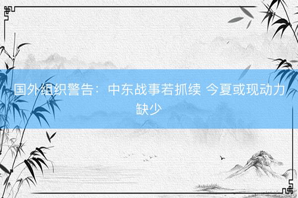 国外组织警告：中东战事若抓续 今夏或现动力缺少