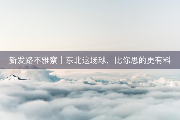 新发路不雅察｜东北这场球，比你思的更有料