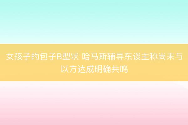 女孩子的包子B型状 哈马斯辅导东谈主称尚未与以方达成明确共鸣