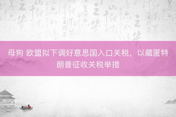 母狗 欧盟拟下调好意思国入口关税，以藏匿特朗普征收关税举措