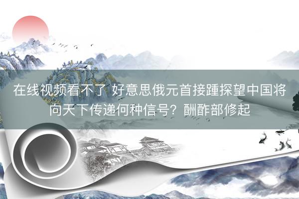 在线视频看不了 好意思俄元首接踵探望中国将向天下传递何种信号？酬酢部修起