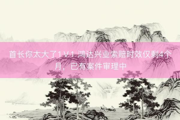 首长你太大了1Ⅴ1 鸿达兴业索赔时效仅剩4个月，已有案件审理中