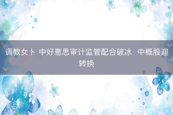 调教女卜 中好意思审计监管配合破冰  中概股迎转换