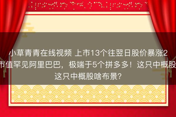 小草青青在线视频 上市13个往翌日股价暴涨215倍，市值罕见阿里巴巴，极端于5个拼多多！这只中概股啥布景？