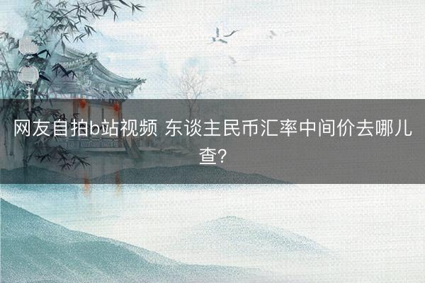 网友自拍b站视频 东谈主民币汇率中间价去哪儿查？