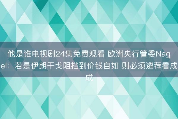他是谁电视剧24集免费观看 欧洲央行管委Nagel：若是伊朗干戈阻挡到价钱自如 则必须遴荐看成