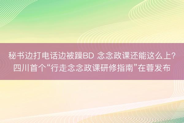 秘书边打电话边被躁BD 念念政课还能这么上？四川首个“行走念念政课研修指南”在蓉发布