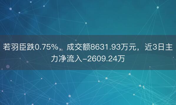 若羽臣跌0.75%，成交额8631.93万元，近3日主力净流入-2609.24万