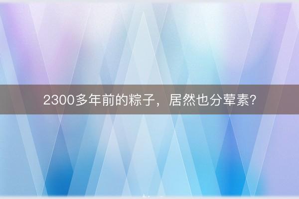 2300多年前的粽子，居然也分荤素？