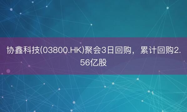 协鑫科技(03800.HK)聚会3日回购，累计回购2.56亿股